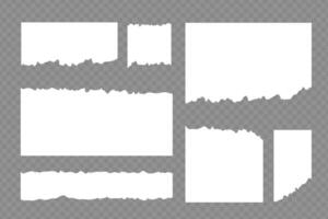 Set of torn ripped sheets of paper white vector