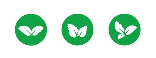 Green leaf icon with simple lines for eco-friendly and sustainable designs. vector
