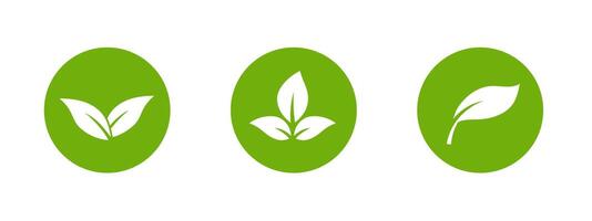 Green leaf icon with clean lines for eco and sustainable products. vector