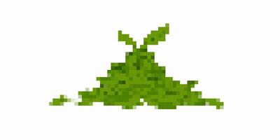 Fresh green pea pod with opened shell showing round peas inside and delicate leaf stalks vector