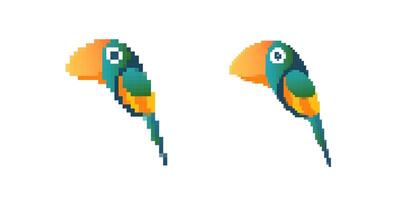 Colorful pixel art parrots with bright feathers in simple digital style illustration vector