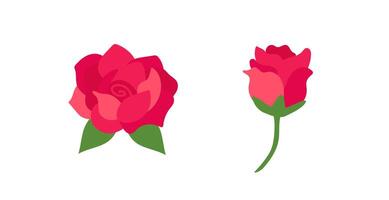 Beautiful red rose and closed bud in simple art with green leaves on a white background vector