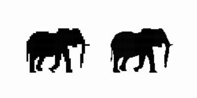 Silhouette of two elephants walking side by side with majestic trunks and large ears visible vector