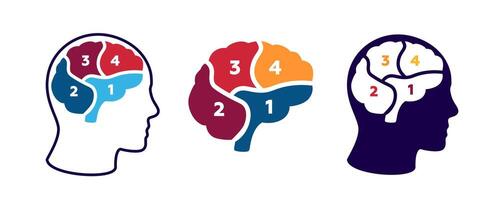 Diagram of the brain with numbered sections in three different artistic styles vector