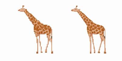Pixel style and realistic art giraffes standing tall side by side with long necks vector