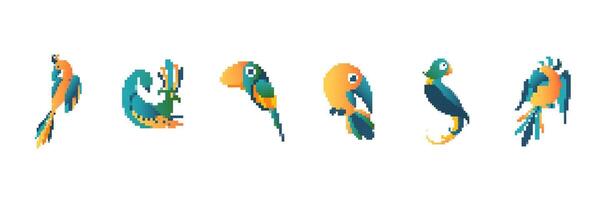 Colorful pixel art parrots in various poses with vibrant and unique designs showcasing creativity vector