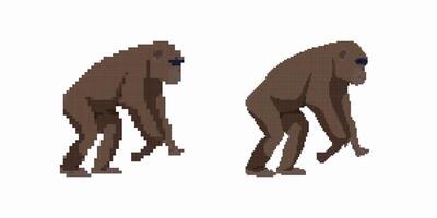 Evolution of ape to human represented in retro pixel art style vector