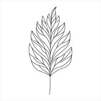 one line Leaf silhouette on white background vector