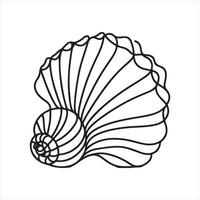 one line seashell silhouette on white background vector