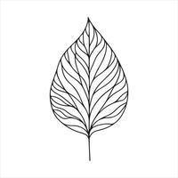 single line Leaf silhouette on white background vector