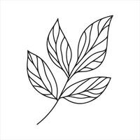 single one line Leaf silhouette on white background vector