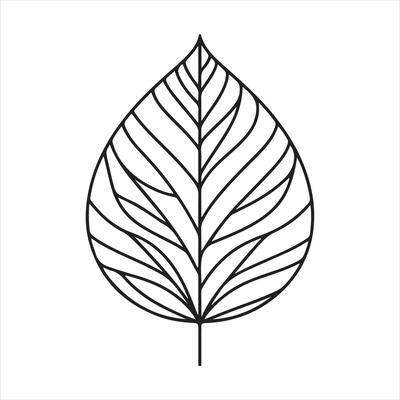 single one line black Leaf silhouette on white background