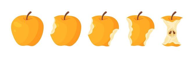 Yellow juicy apple eating steps icon set. Stages of biting ripe apple from whole to half and core, bite progression. Hand drawn flat style isolated. Bitten apple fresh garden fruit illustration vector