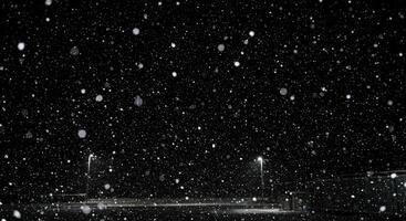 Snow falling on a black and white night photo