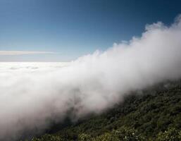 A view of the clouds photo
