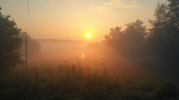 The sun rises over a foggy field photo