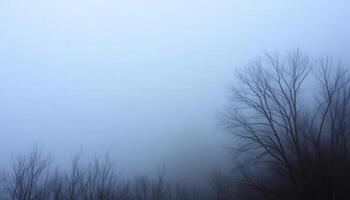 A foggy scene with bare trees and a sky photo