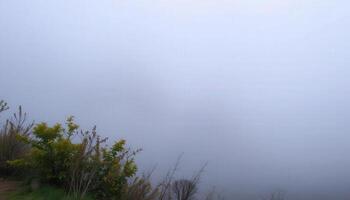 A person walking down a path in the fog photo