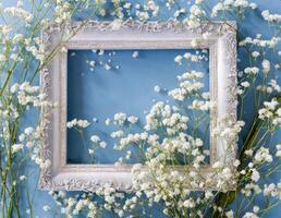 White flowers in a frame on blue background photo