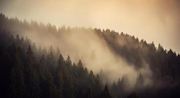 A forest with trees and fog in the background photo