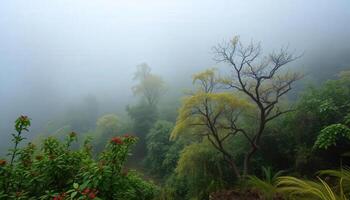 A foggy forest with trees and flowers photo