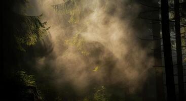 A person walking through a forest with a horse photo