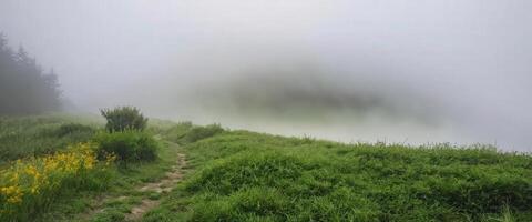 A path leads through a grassy field with a foggy sky photo