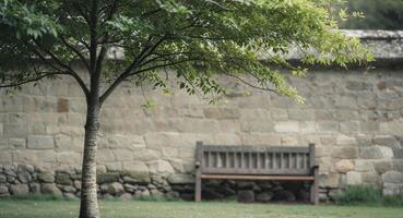 A tree is standing in front of a wall with a bench in the background photo