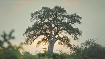 Save Our Planet With Nature Conservation Efforts. photo