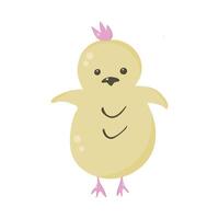 Flat-style chick on an isolated white background. vector