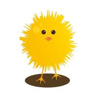 Little fluffy chicken on an isolated background in cartoon style. Front view of cute chick.Easter bird concept. vector