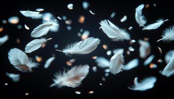 A flock of white feathers floating in the air, creating a sense of freedom and lightness. The feathers are scattered all over the scene, with some falling close to the ground photo