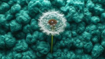 A dandelion is the only thing visible in a field of blue and white. The dandelion is surrounded by a cloud of white fuzz, which gives the impression of a dreamy, ethereal atmosphere photo