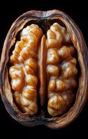 Walnut shell and seed details. This walnut's cracked shell reveals gleaming, textured seeds inside that resemble a human brain. photo
