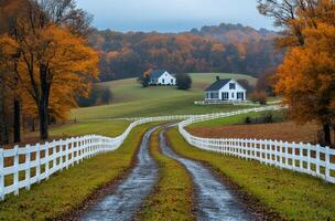 Autumn drive through scenery. A winding dirt road leads to charming houses, surrounded by vibrant autumn foliage under an overcast sky. photo
