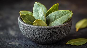 Bay leaves in a stone bowl. Green bay leaves rest in a textured stone bowl, their vibrant color contrasting against a dark background. photo