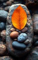 Colorful leaf on stones. A bright orange leaf sits on smooth stones, highlighting earthy textures and colors in a natural setting. photo