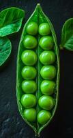 Fresh peas in open pod. Open pea pod displays vibrant green peas nestled inside, surrounded by leafy greens in a dark setting. photo