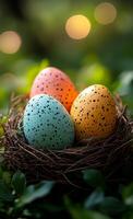 Colorful speckled eggs in natural nest. Three vibrant speckled eggs sit nestled in a natural twigs nest among greenery and soft lights in the background. photo