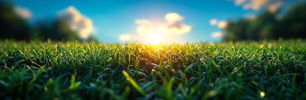 Sunlight on green grass. Sunlight breaks through clouds, illuminating a field of lush green grass during early morning hours. photo