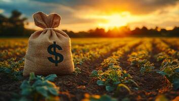 Sunlit farm field with money bag at dusk. A burlap sack with a dollar symbol sits on fertile soil in a vibrant farm field during a captivating sunset. photo