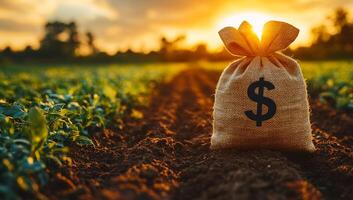 Coin bag on fertile ground. A burlap sack with a dollar sign sits on soil among green crops as the sun sets, casting a warm glow over the field. photo