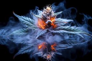 A marijuana plant with smoke coming out of it. The smoke is reflected in the water. Scene is mysterious and intriguing photo
