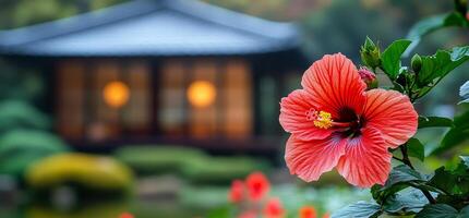 A red flower is in front of a building. The flower is in the foreground and the building is in the background photo