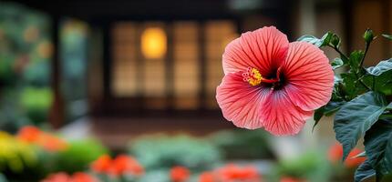 A red flower with a yellow center is in the foreground of a blurry background. The flower is surrounded by other flowers, creating a colorful and vibrant scene. Scene is cheerful and lively photo