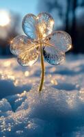 A snow covered landscape with a single flower in the center. The flower is made of ice and is surrounded by snow. Concept of serenity and beauty in the midst of winter photo