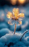 A small flower with frost on it is sitting on a snowy surface. Concept of tranquility and beauty in the midst of winter photo