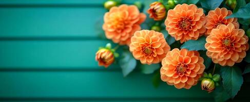 A bouquet of orange flowers is arranged on a green background. The flowers are in full bloom and are the main focus of the image. The arrangement is simple and elegant, with the flowers photo