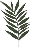 Leaf exotic, healthy product, healthy life element, cartoon style, vector