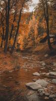 Autumn landscape with a stream and trees photo
